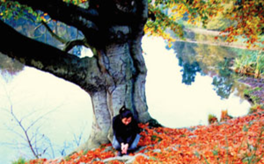 Trầm cảm theo mùa: tại thiếu... nắng