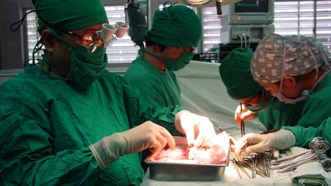 Đi chợ… thận người