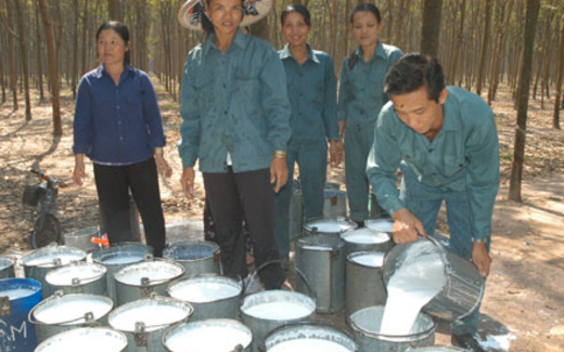 Dự thảo Luật Bảo hiểm xã hội (sửa đổi): Chỉ lo cắt giảm quyền lợi người lao động?
