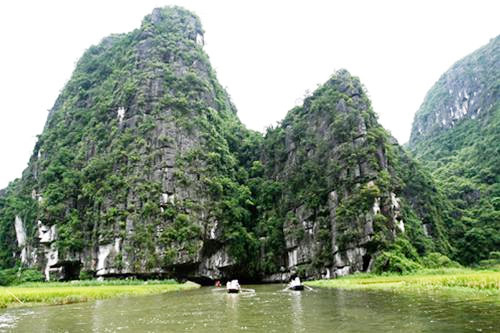 Ngô Đồng - mùa vàng trên sông