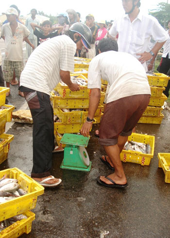 Nỗi khắc khoải ở làng chài mùa biển động