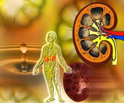 Bệnh thận: Bạn thuộc nhóm nguy cơ?