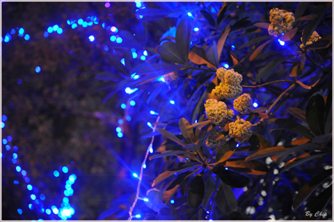 Khi Hà Nội trở thành chính mình