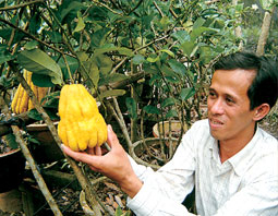 Sa Đéc - thị xã ngàn hoa