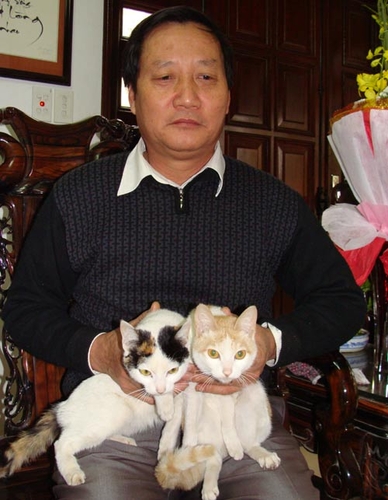 Đa tình như… mèo cái, si tình như… mèo đực