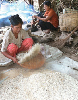 Bánh tét cốm dẹp