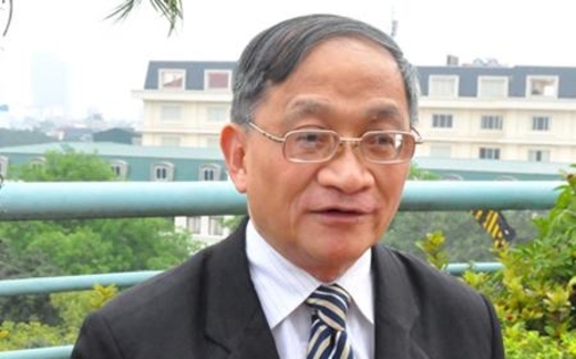 TS. Lê Đăng Doanh: 'Họ cố neo giá vì tin sẽ được cứu'