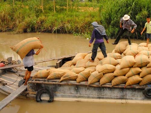 Thương lái Trung Quốc lại giở trò