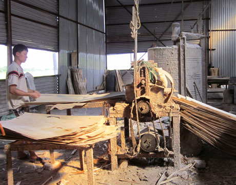 Từ phạt học sinh đứng nắng tới cả làng mắc bệnh