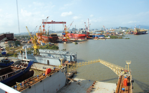 Sao cứ phải là chủ đạo?