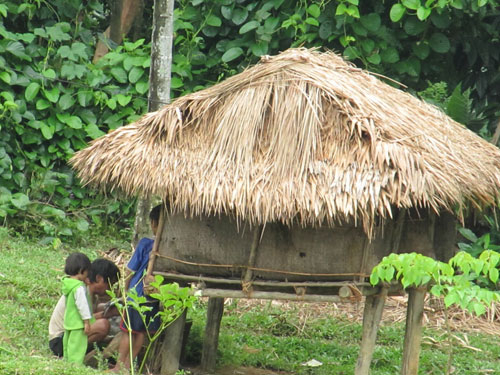 “Phát điên” vì động đất