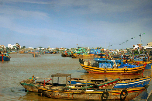 Nông dân quay cuồng với bão giá: Làng cá đìu hiu