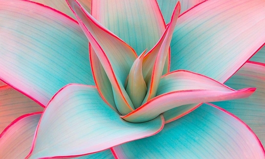 Mang thực vật hợp pháp khi đi nước ngoài về Ba Lan ra sao?