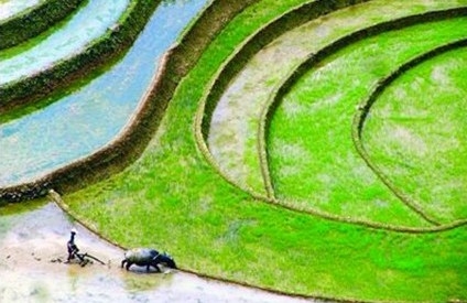 Luật đất đai: Những bức xúc để lại