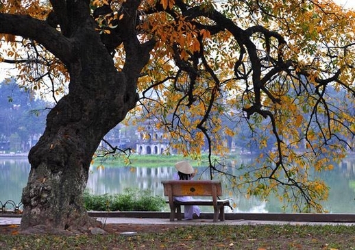 Thơ - Trần Thúy Hiền