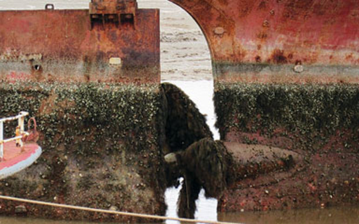 Tàu biển: đến ve chai cũng lắc đầu