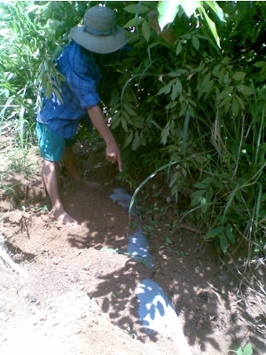 90% dân số Bà Rịa - Vũng Tàu có nguy cơ nhiễm độc