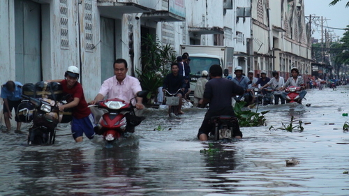 Mưa lớn + triều cường, nhiều khu vực TP.HCM thành "sông"