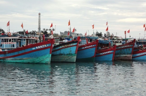 Xăng dầu tăng giá, tàu cá nằm bờ
