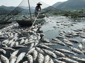 Điểm báo Quốc tế