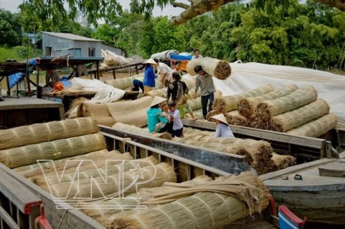 Làng chiếu Định Yên