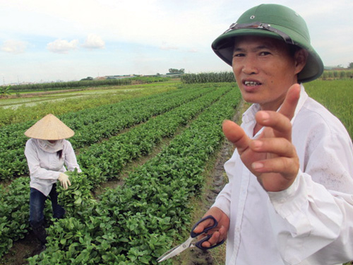Không để phí thành gánh nặng cho nông dân