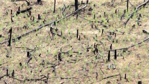 InnovGreen đang làm gì trên biên giới Việt Nam?