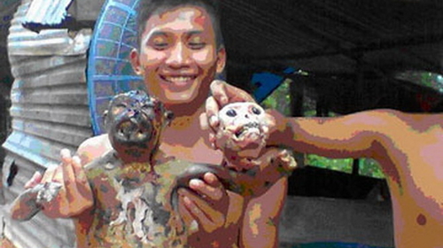 Vụ giết khỉ dã man: Xác định danh tính người trong ảnh