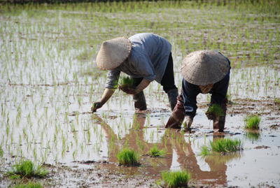 Nhà thơ Trần Đăng Khoa luận bàn vụ Đoàn Văn Vươn (kỳ 1)