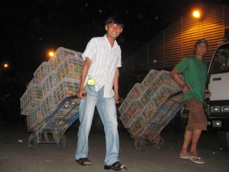Thế giới ngầm chợ đêm