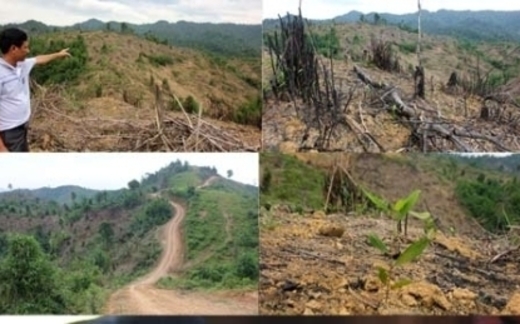 Lấy đất của dân, đền bù rẻ rồi.. bỏ hoang