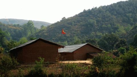 Thuê đất rừng: “50 năm nữa, ai làm người đó kiểm soát”?