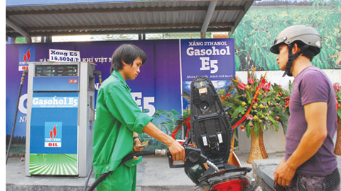 Bắt buộc dùng xăng pha cồn chạy ôtô, xe máy