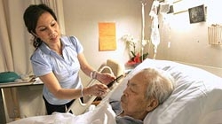 Đau đáu giấc mơ hội ngộ