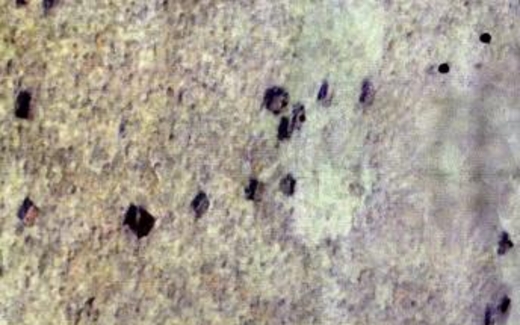 Philippines triệu hồi đại sứ tại Trung Quốc