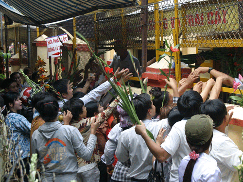 Lễ hội chùa Bà: Ăn xin chuyển "nghề"