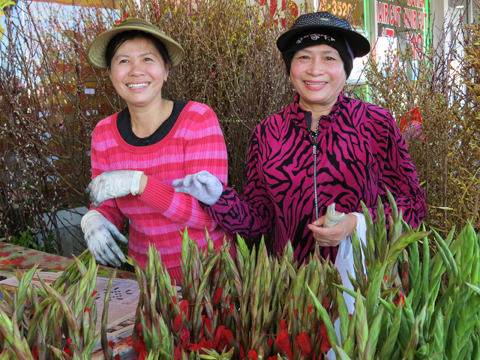 Tết Việt ở Melbourne
