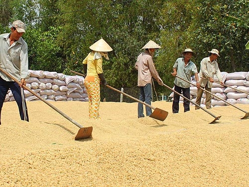 VFA được ưu ái, sao lại ép nông dân?