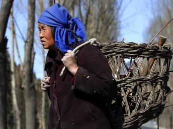 Điểm báo Quốc tế