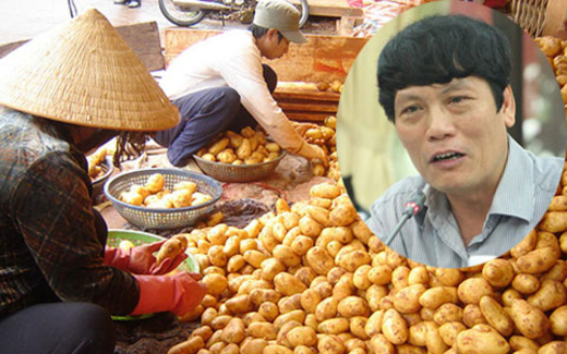 Hạnh phúc như Cục trưởng kiên định bảo vệ khoai tây độc