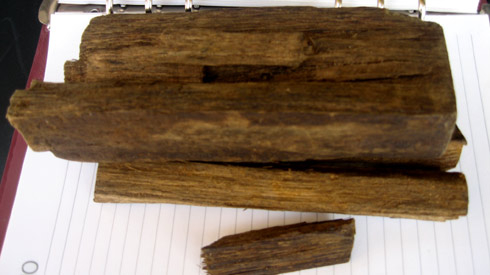 Giải mã thứ vàng ròng của rừng có tên kỳ nam