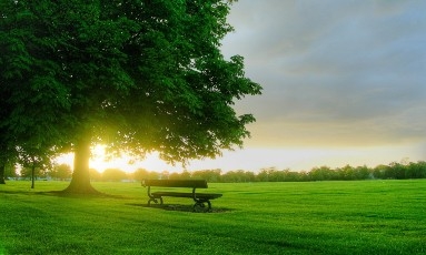 Xã hội - người dẫn dắt hay kẻ lôi kéo?