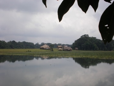 Màu xanh trảng cỏ Bù Lạch