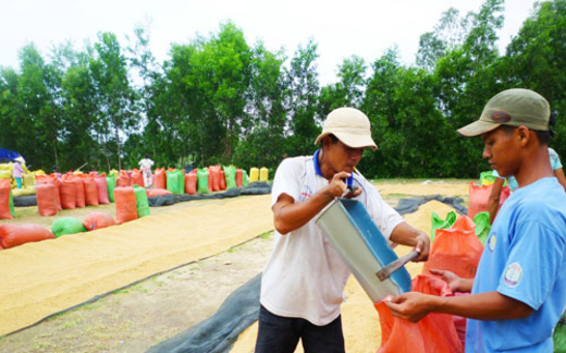 Choáng với thu nhập... "trên đầu, trên cổ" nông dân!