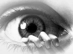 Diễn đàn văn hóa: Những độc giả tò mò