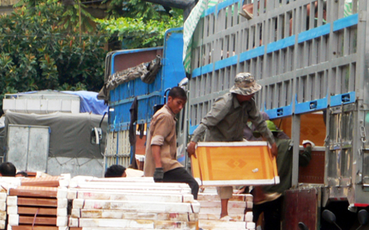 Tái cơ cấu nợ thuế