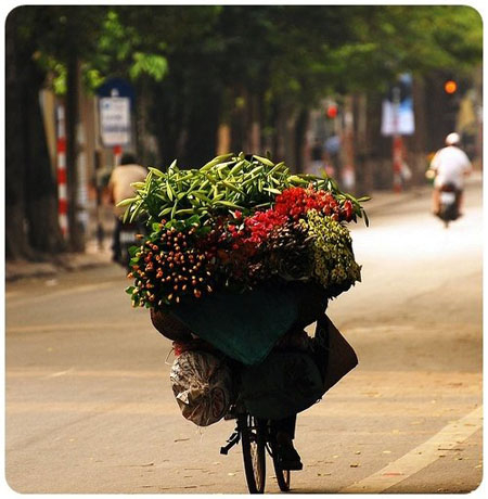 Cái gì nên giữ cần phải giữ…