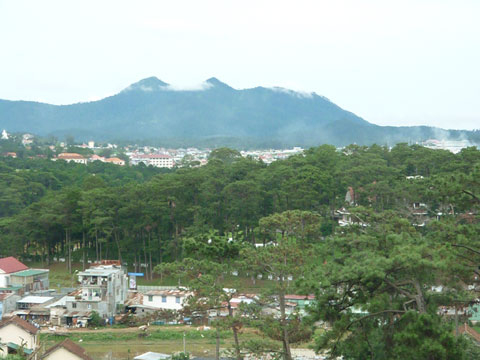 Hội tụ đủ các yếu tố Lâm Đồng mới cho thuê rừng