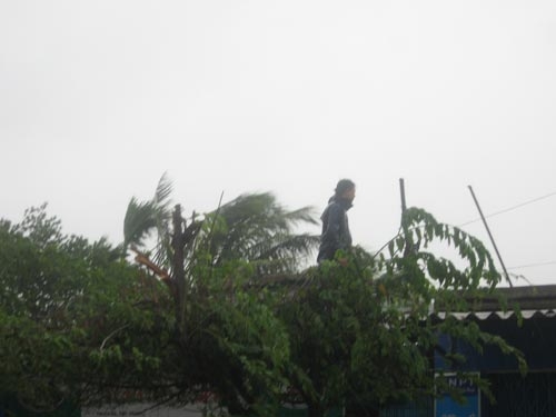 Lũ ồ ạt nuốt chửng miền Trung