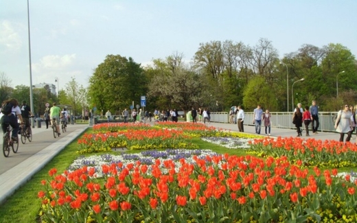 Tình yêu như rượu vang.